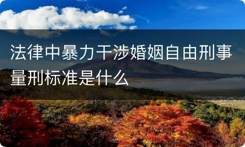 法律中暴力干涉婚姻自由刑事量刑标准是什么