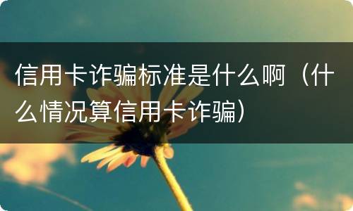 信用卡诈骗标准是什么啊（什么情况算信用卡诈骗）