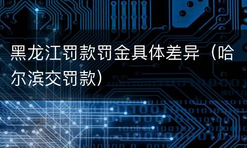 黑龙江罚款罚金具体差异（哈尔滨交罚款）