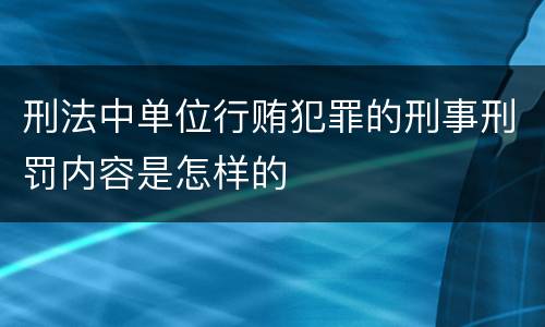 刑法中单位行贿犯罪的刑事刑罚内容是怎样的