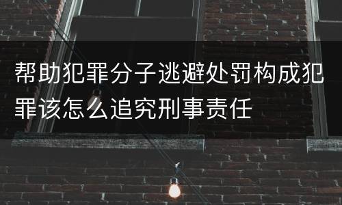 帮助犯罪分子逃避处罚构成犯罪该怎么追究刑事责任