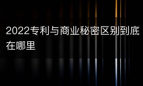 2022专利与商业秘密区别到底在哪里