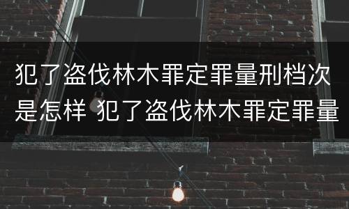 犯了盗伐林木罪定罪量刑档次是怎样 犯了盗伐林木罪定罪量刑档次是怎样定的