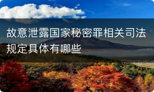 故意泄露国家秘密罪相关司法规定具体有哪些