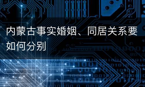 内蒙古事实婚姻、同居关系要如何分别