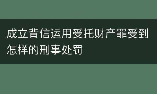 成立背信运用受托财产罪受到怎样的刑事处罚
