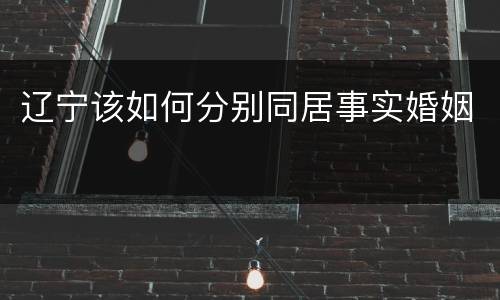 辽宁该如何分别同居事实婚姻