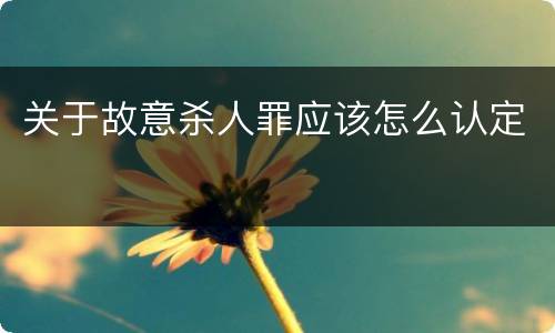 关于故意杀人罪应该怎么认定