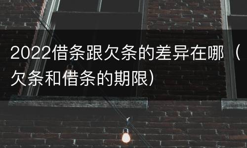 2022借条跟欠条的差异在哪（欠条和借条的期限）
