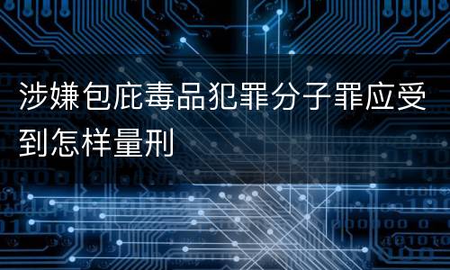涉嫌包庇毒品犯罪分子罪应受到怎样量刑