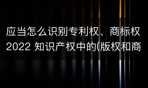 应当怎么识别专利权、商标权2022 知识产权中的(版权和商标权与标准