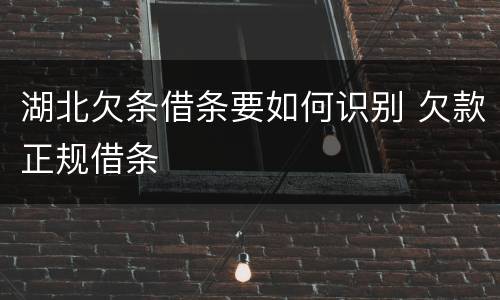 湖北欠条借条要如何识别 欠款正规借条