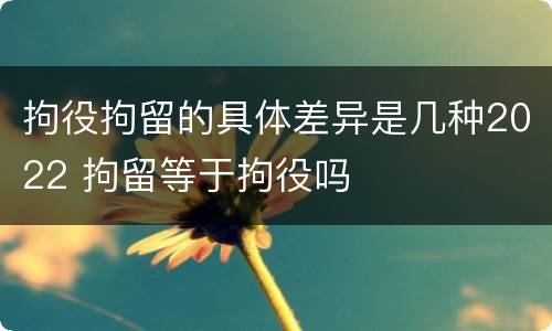 拘役拘留的具体差异是几种2022 拘留等于拘役吗