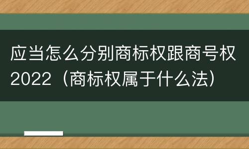 应当怎么分别商标权跟商号权2022（商标权属于什么法）
