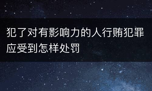 犯了对有影响力的人行贿犯罪应受到怎样处罚