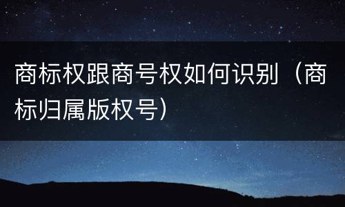 商标权跟商号权如何识别（商标归属版权号）