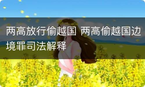 两高放行偷越国 两高偷越国边境罪司法解释
