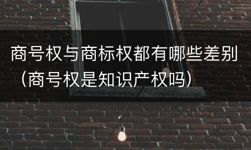 商号权与商标权都有哪些差别（商号权是知识产权吗）