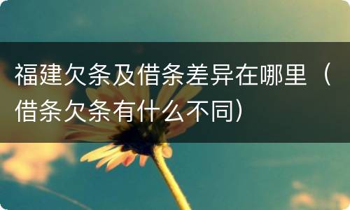 福建欠条及借条差异在哪里（借条欠条有什么不同）