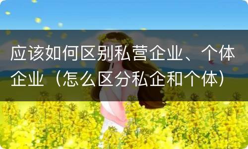 应该如何区别私营企业、个体企业（怎么区分私企和个体）
