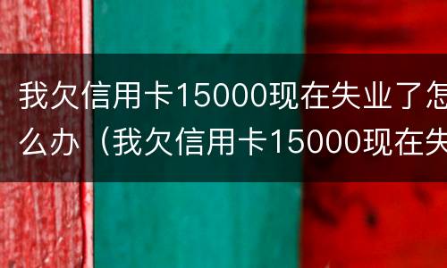 我欠信用卡15000现在失业了怎么办（我欠信用卡15000现在失业了怎么办呢）