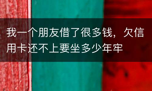 我一个朋友借了很多钱，欠信用卡还不上要坐多少年牢