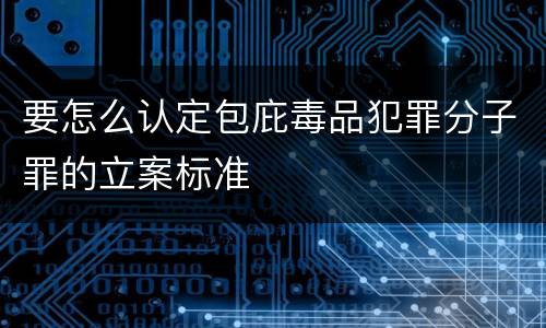 要怎么认定包庇毒品犯罪分子罪的立案标准