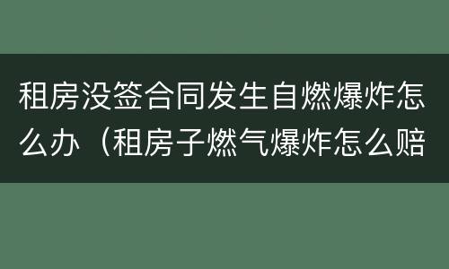 租房没签合同发生自燃爆炸怎么办（租房子燃气爆炸怎么赔偿）