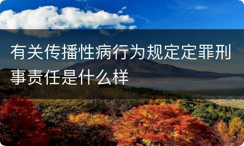 有关传播性病行为规定定罪刑事责任是什么样