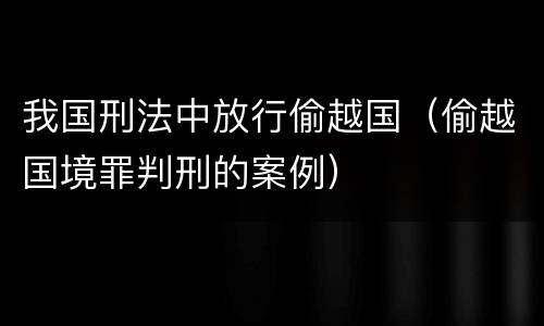 我国刑法中放行偷越国（偷越国境罪判刑的案例）