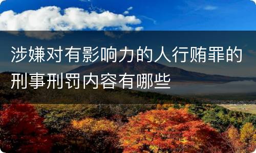 涉嫌对有影响力的人行贿罪的刑事刑罚内容有哪些