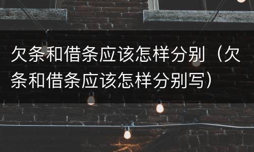 欠条和借条应该怎样分别（欠条和借条应该怎样分别写）