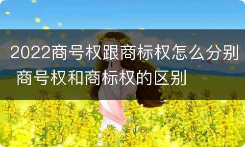 2022商号权跟商标权怎么分别 商号权和商标权的区别