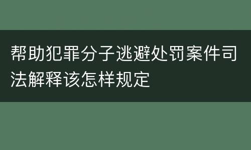 帮助犯罪分子逃避处罚案件司法解释该怎样规定