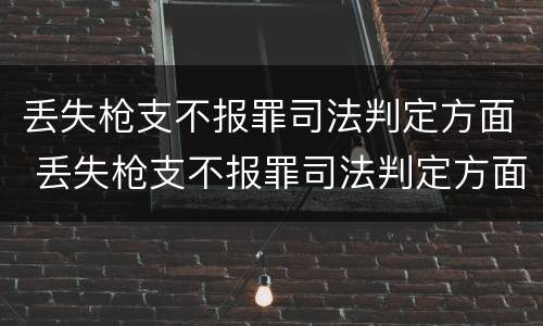 丢失枪支不报罪司法判定方面 丢失枪支不报罪司法判定方面的问题