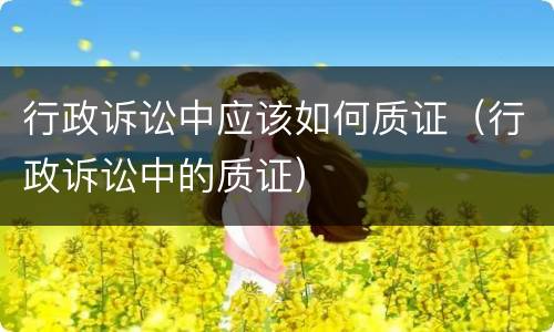 行政诉讼中应该如何质证（行政诉讼中的质证）