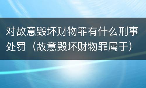 对故意毁坏财物罪有什么刑事处罚（故意毁坏财物罪属于）