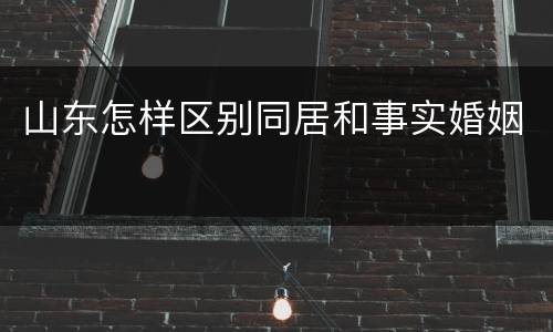 山东怎样区别同居和事实婚姻