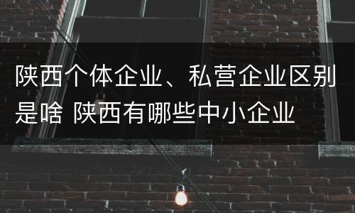 陕西个体企业、私营企业区别是啥 陕西有哪些中小企业