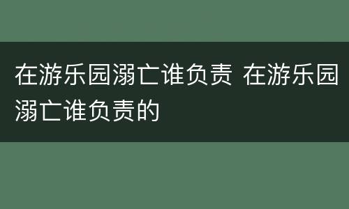 在游乐园溺亡谁负责 在游乐园溺亡谁负责的