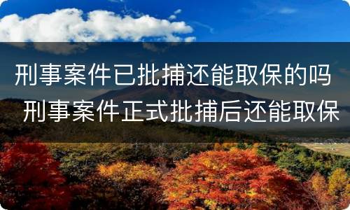 刑事案件已批捕还能取保的吗 刑事案件正式批捕后还能取保吗