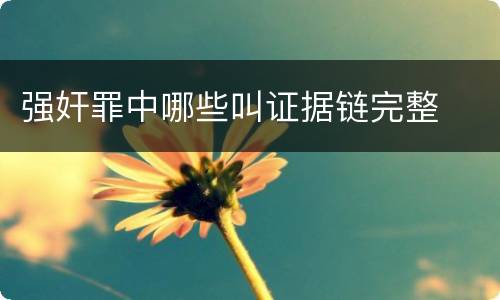 强奸罪中哪些叫证据链完整