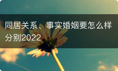 同居关系、事实婚姻要怎么样分别2022