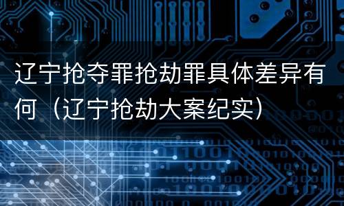辽宁抢夺罪抢劫罪具体差异有何（辽宁抢劫大案纪实）