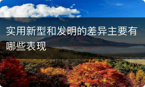 实用新型和发明的差异主要有哪些表现