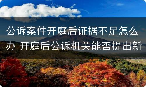 公诉案件开庭后证据不足怎么办 开庭后公诉机关能否提出新证据