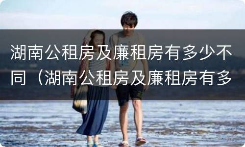 湖南公租房及廉租房有多少不同（湖南公租房及廉租房有多少不同的房子）