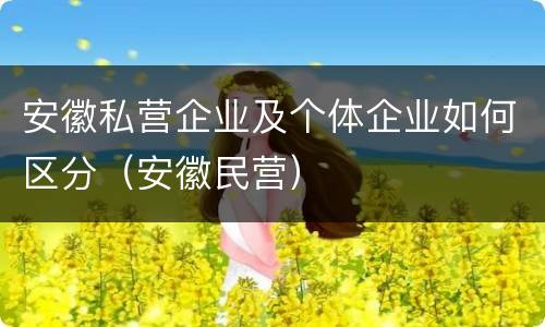 安徽私营企业及个体企业如何区分（安徽民营）