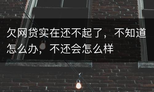欠网贷实在还不起了，不知道怎么办，不还会怎么样