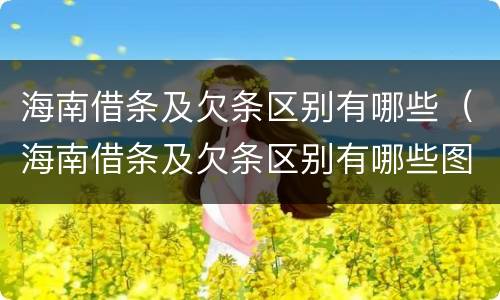 海南借条及欠条区别有哪些（海南借条及欠条区别有哪些图片）